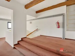 Prodej historického objektu, Litoměřice - Litoměřice-Město, Novobranská, 499 m2