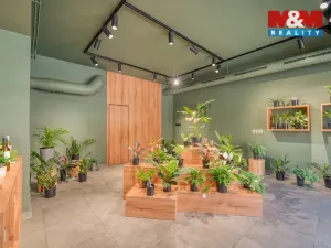 Pronájem obchodního prostoru, Plzeň - Jižní Předměstí, Americká, 145 m2