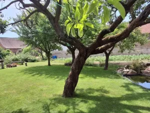 Prodej rodinného domu, Vedrovice, 120 m2