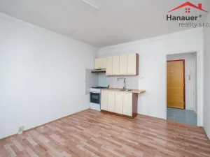 Prodej bytu 1+1, Teplice - Trnovany, Julia Payera, 36 m2