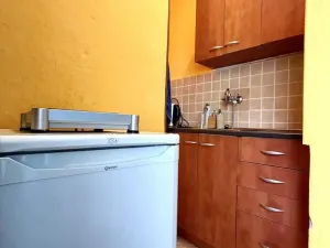 Pronájem bytu 1+kk, Ostrava - Poruba, Opavská, 25 m2