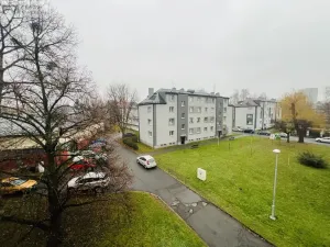 Pronájem bytu 1+1, Frýdek-Místek, Lidická, 43 m2