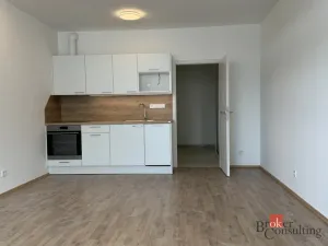 Prodej bytu 1+kk, Plzeň - Jižní Předměstí, Železná, 41 m2