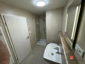 Prodej bytu 1+kk, Plzeň - Jižní Předměstí, Železná, 41 m2