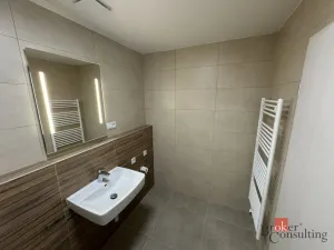 Prodej bytu 1+kk, Plzeň - Jižní Předměstí, Železná, 46 m2