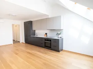 Pronájem bytu 2+kk, Praha - Žižkov, Jeronýmova, 68 m2