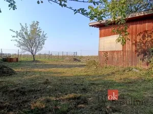 Prodej zahrady, Opava, 495 m2