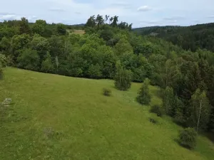 Prodej pozemku pro bydlení, Planá, 2215 m2
