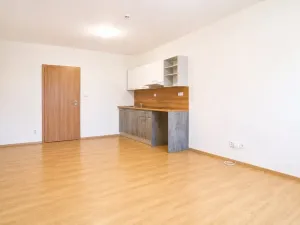 Pronájem bytu 1+kk, Syrovice, 26 m2