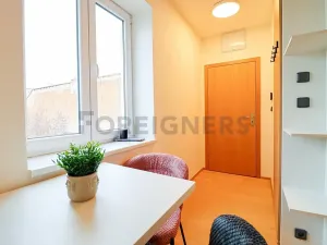 Pronájem bytu 1+kk, Brno, Cyrilská, 19 m2