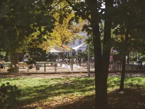 Pronájem bytu 2+kk, Brno, Jaselská, 36 m2