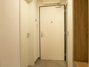 Pronájem bytu 1+kk, Praha, Štěchovická, 45 m2