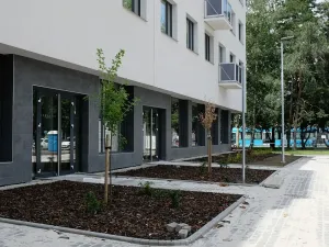 Pronájem kanceláře, Ostrava, Pavlovova, 30 m2