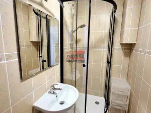 Prodej bytu 1+kk, Planá nad Lužnicí, Průmyslová, 19 m2