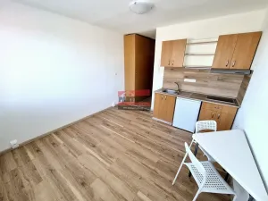 Prodej bytu 1+kk, Planá nad Lužnicí, Průmyslová, 19 m2