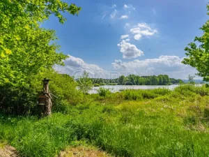 Prodej chaty, Mýto, Kařízek, 41 m2