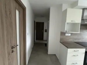 Pronájem bytu 2+1, Planá, Zahradní, 50 m2