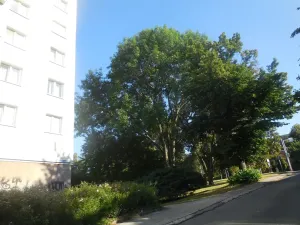 Pronájem bytu 1+1, Zlín, Díly IV, 36 m2