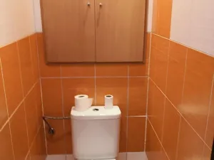 Pronájem bytu 2+1, Orlová, Masarykova třída, 58 m2