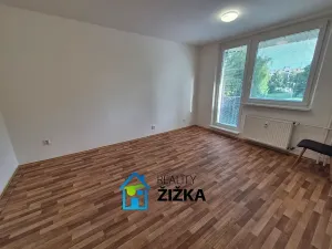 Pronájem bytu 1+1, Brno, Voříškova, 32 m2