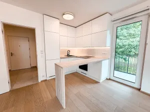 Pronájem bytu 2+kk, Praha - Žižkov, Dagmar Burešové, 65 m2