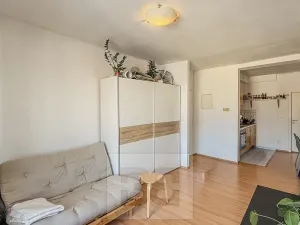 Pronájem bytu 2+kk, Praha - Nusle, Marie Cibulkové, 40 m2