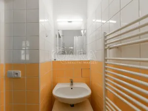 Pronájem bytu 1+kk, Praha - Smíchov, Lidická, 33 m2