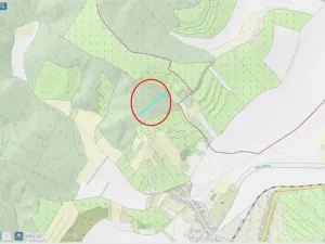 Prodej lesa, Kobylí, 2800 m2