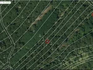 Prodej lesa, Kobylí, 2800 m2