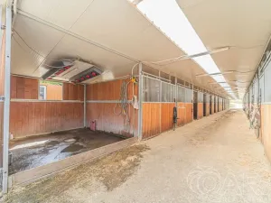 Pronájem komerční nemovitosti, Peruc - Telce, 8 m2