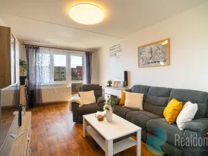 Prodej bytu 3+1, České Budějovice, Labská, 72 m2