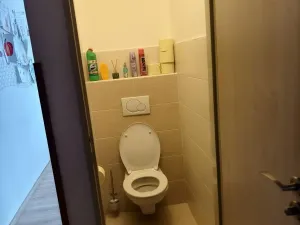 Prodej bytu 2+1, Vyškov - Dědice, Sídliště Osvobození, 56 m2