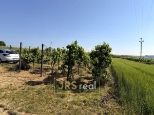 Prodej pozemku, Trboušany, 1135 m2
