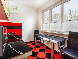 Pronájem bytu 1+1, Habartov, Švermova, 34 m2