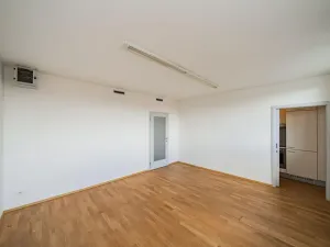 Pronájem bytu 5+1, Praha - Smíchov, Štefánikova, 168 m2
