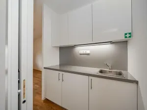 Pronájem bytu 5+1, Praha - Smíchov, Štefánikova, 168 m2