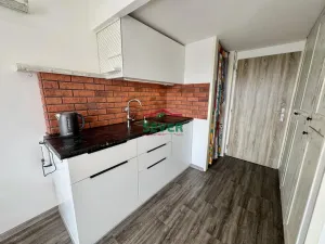 Prodej bytu 1+kk, Litvínov - Horní Litvínov, Koldům, 27 m2