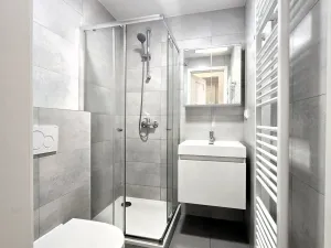 Pronájem bytu 1+kk, Praha - Smíchov, Svornosti, 18 m2