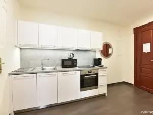 Pronájem bytu 2+kk, Praha - Vinohrady, Vinohradská, 41 m2