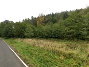 Prodej louky, Tuchořice, 18601 m2