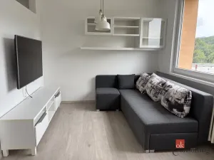 Pronájem bytu 1+1, Chrastava - Dolní Chrastava, Andělohorská, 35 m2