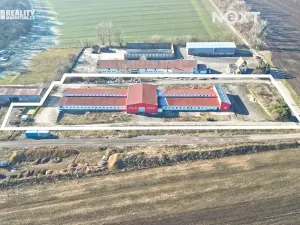 Pronájem skladu, Rostěnice-Zvonovice, 2417 m2