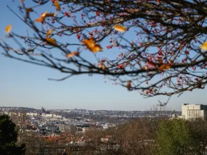 Prodej bytu 1+kk, Praha, Jana Želivského, 29 m2