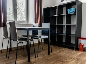 Pronájem bytu 1+kk, České Budějovice, Nová, 30 m2