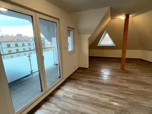 Pronájem bytu 3+1, Frýdek-Místek, Viléma Závady, 125 m2
