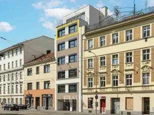 Pronájem bytu 2+kk, Brno, Křenová, 59 m2