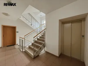Pronájem bytu 1+kk, Písek - Budějovické Předměstí, Pažoutova, 53 m2