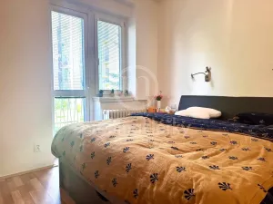 Pronájem bytu 3+kk, Brno - Veveří, Antonínská, 76 m2