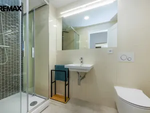 Pronájem bytu 2+kk, Praha - Vinohrady, Korunní, 53 m2
