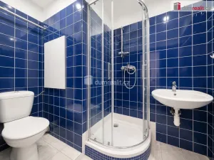 Prodej bytu 2+1, Sokolov, Sokolovská, 51 m2